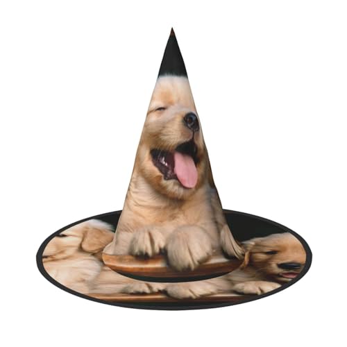 SDFHU Golden Retriever Hunde Welpen Haustiere Druck Lustige Halloween Hüte für Party Dekorationen - Einzigartige Hexenhüte für Damen und Herren von SDFHU