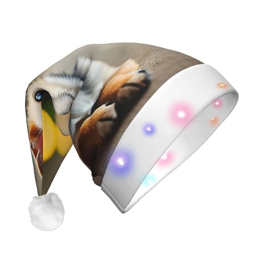 SDFHU Weihnachtsmütze mit Chihuahua-Hund und LED-Lichtern für Erwachsene, Unisex, bequem, festlich, Partyhut von SDFHU