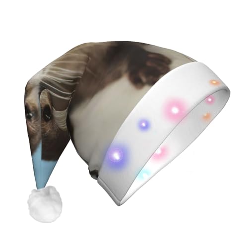 SDFHU Weihnachtsmütze mit süßem Otter-Druck, mit LED-Lichtern, für Erwachsene, Unisex, bequem, festlich, Partyhut von SDFHU