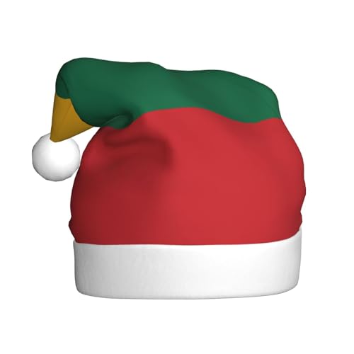 Weihnachtsmütze mit Litauen-Flagge, lustiger Weihnachtsmann-Mütze für Erwachsene, Urlaubsmütze, Accessoire für Weihnachtsfeier von SDFHU