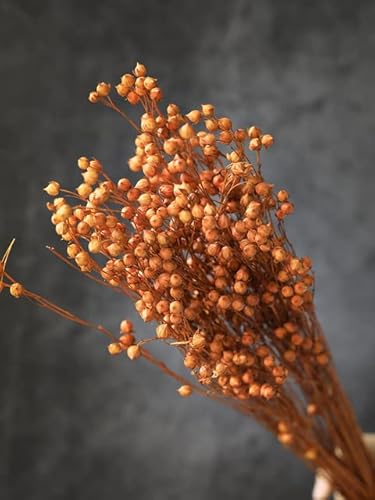 25 Stücke Bunte Trockenblumen Leinen Grassträuße Echte Blume für Heimdekoration Natürliches Material Hochzeitsdeko DIY Epoxidharz von SERVEL