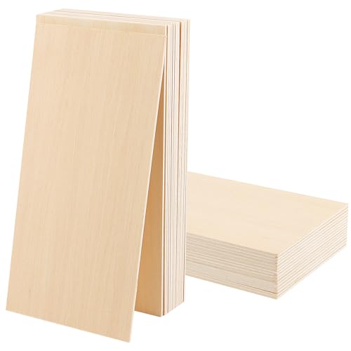 SEUICYNE 30 Stück Balsa Holz Platten, 100 x 200 x 1,5mm Lindenholzplatten Balsaholzblätter Sperrholzplatte Holzplatten zum Basteln für Holzarbeiten DIY Modellbau Laserbearbeitung Deko Brandmalerei von SEUICYNE