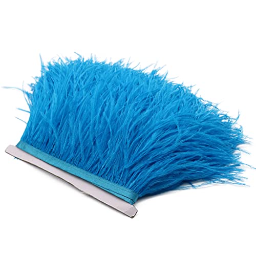 SFQEVHRZ Schwanzfeder Band, 2M Farbe natürliche Federbesatz for Hochzeitskleid Dekoration Zubehör Handwerk Federn Fransen(Lake Blue) von SFQEVHRZ