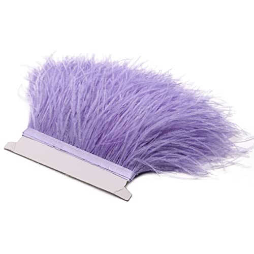 SFQEVHRZ Schwanzfeder Band, 2M Farbe natürliche Federbesatz for Hochzeitskleid Dekoration Zubehör Handwerk Federn Fransen(Purple) von SFQEVHRZ