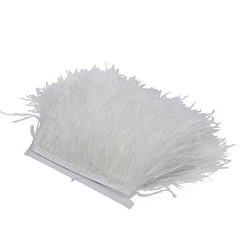 SFQEVHRZ Schwanzfeder Band, 2M Farbe natürliche Federbesatz for Hochzeitskleid Dekoration Zubehör Handwerk Federn Fransen(White) von SFQEVHRZ