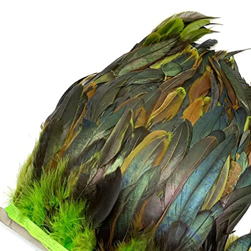 SFQEVHRZ Schwanzfeder Band, 5,5 Yards Länge Federn Borten Fransen Federn Band DIY Nähen Kleidung Hochzeit Dekoration Kleidung(Apple Green Feathers) von SFQEVHRZ