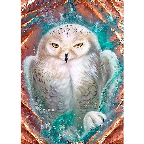 SFUSHOS Diamond Painting Quadratische Eule 40x50cm Diamond Painting Eckige Steine Eule Malen nach Zahlen Eule Diamant Painting Eulen Bilder Malen nach Zahlen Erwachsene Schneeeule Perlen Bilder von SFUSHOS