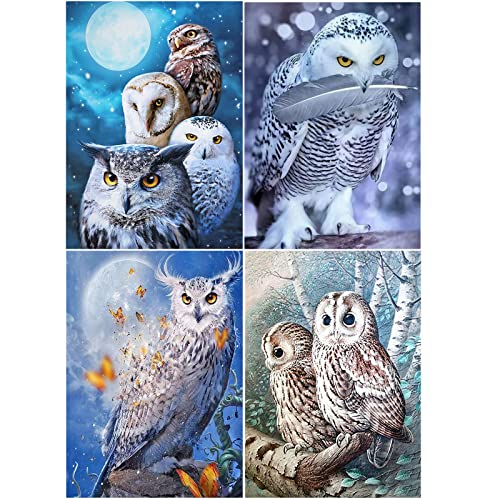 Diamant Painting Eule 4er Set 30x40 cm 5D Diamond Painting Eule Malen nach Zahlen Eule Diamant Painting Bilder Erwachsene Eule Diamond Painting Schneeeule Vorgedruckte Stickbilder Tiere Basteln von SHEGZHUC