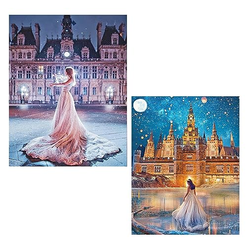 SHEGZHUC 2 Pack Diamond Painting Schloss 40x50 cm Diamond Painting Prinzessin Malen nach Zahlen Erwachsene Landschaft Diamond Painting Landschaft Häuser Diamond Painting Frau Pink Rock Craft Buddy von SHEGZHUC