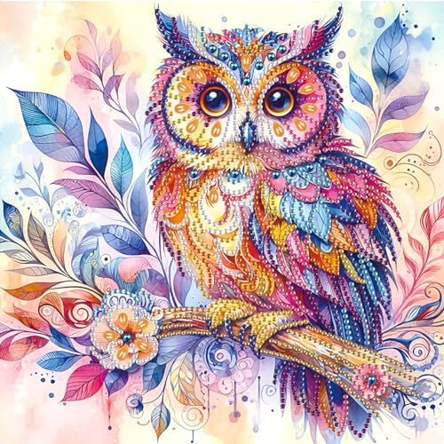 SHEGZHUC 30x30cm Diamond Painting Eule Diamond Painting Strass Special Blumen Tiere Vogel Bunt Diamond Painting Spezialsteine Diamant Malerei Kunst Stickerei Kreuzstich Bilder Geschenk Wanddekoration von SHEGZHUC