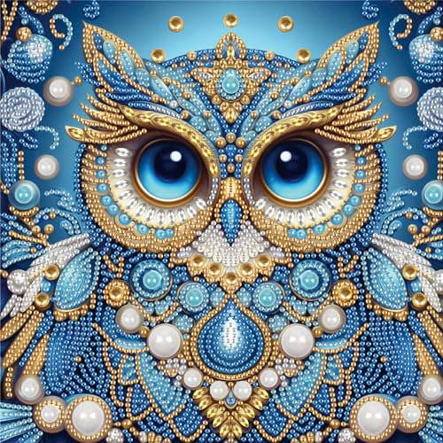 SHEGZHUC 30x30cm Diamond Painting Eule Diamond Painting Strass Special Tiere Vogel Blau Diamond Painting Spezialsteine Diamant Malerei Kunst Stickerei Kreuzstich Bilder Geschenk Wanddekoration von SHEGZHUC