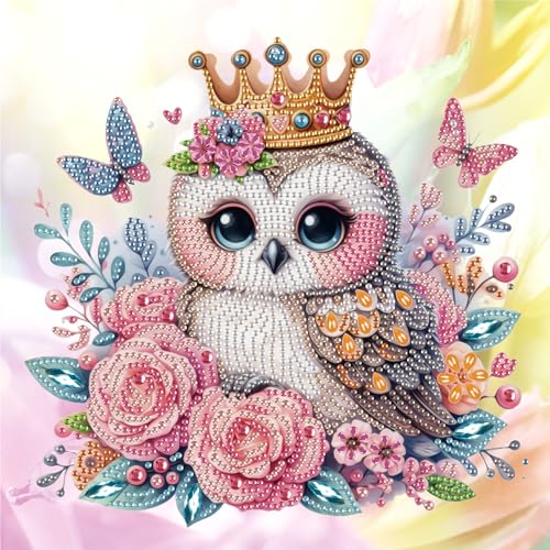 SHEGZHUC 30x30cm Diamond Painting Eule Vogel Diamond Painting Strass Special Blumen Tiere Diamond Painting Spezialsteine Diamant Malerei Kunst Stickerei Kreuzstich Bilder Geschenk Wanddekoration von SHEGZHUC