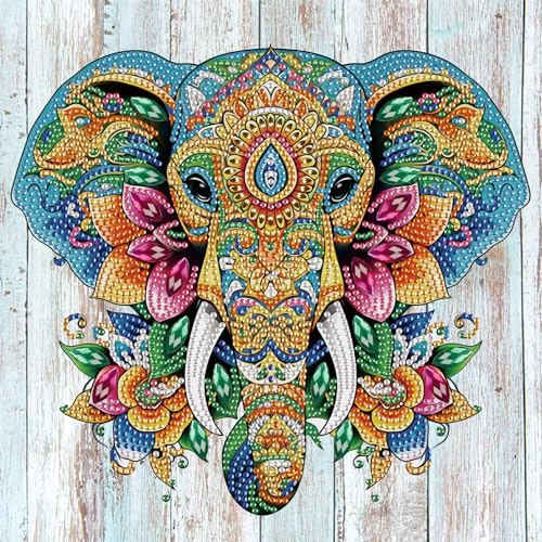 SHEGZHUC 30x30cm Diamond Painting Strass Special Tiere Diamond Painting Elefant Diamond Painting Spezialsteine Blumen Diamant Malerei Kunst Stickerei Kreuzstich Bilder Geschenk Wanddekoration von SHEGZHUC