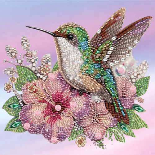 SHEGZHUC 30x30cm Diamond Painting Vogel Blumen Kolibri Diamond Painting Strass Special Diamond Painting Spezialsteine Tiere Diamant Malerei Kunst Stickerei Kreuzstich Bilder Geschenk Wanddekoration von SHEGZHUC