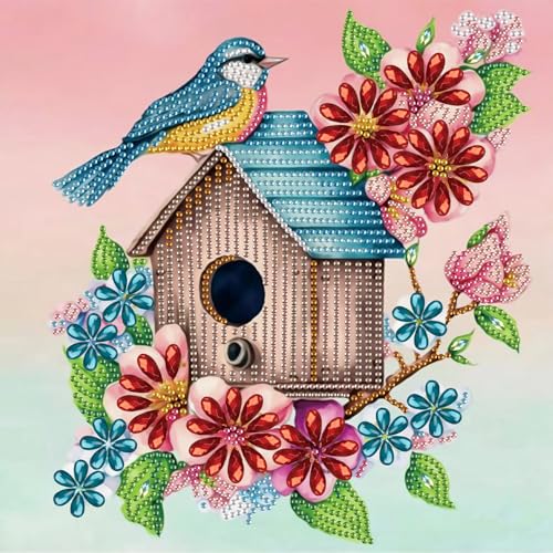 SHEGZHUC 30x30cm Diamond Painting Vogel Vogelhaus Kolibri Diamond Painting Strass Special Blumen Diamond Painting Spezialsteine Diamant Malerei Kunst Stickerei Kreuzstich Geschenk Wanddekoration von SHEGZHUC