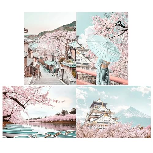 SHEGZHUC 4 Pack Diamond Painting Japan Landschaft Kirschblüte 30x40cm Diamond Painting Berge Fuji Landschaft Seen Diamond Painting Kirschbaum Japanische Geisha Boot Gasse Diamant Malerei Wand Dekor von SHEGZHUC