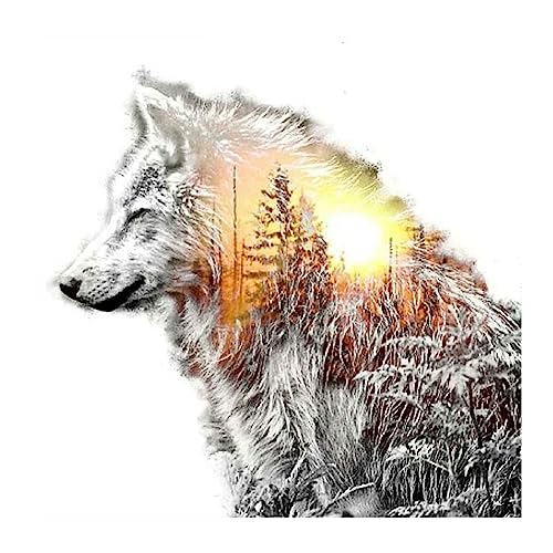 SHEGZHUC Diamond Painting Eckige Steine Wolf 40x40 cm Diamond Painting Wolf Square Diamond Painting Winterlandschaft Diamond Painting Quadrat Schnee Diamond Painting Eckige Steine Sonnenuntergang Wald von SHEGZHUC