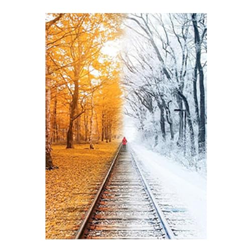 SHEGZHUC Diamond Painting Landschaft Herbst Winter 40x50cm Diamond Painting Schiene Eisenbahn Diamond Painting Wald Baum 5D Diamant Painting Wald Bäume Diamond Painting Frau Basteln Erwachsene Frauen von SHEGZHUC