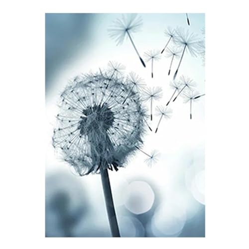 SHEGZHUC Diamond Painting Pusteblume Weiß 30x40cm Diamant Painting Bilder Pusteblume Malen nach Zahlen Diamant Painting Bilder Blumen Diamant Malerei Stickerei Kreuzstich Geschenk Wanddekoration von SHEGZHUC