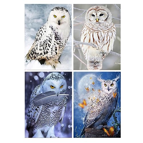 SHEGZHUC Diamond Painting Schneeeule 4 Pack 30x40 cm Diamond Painting Eulen Schnee Malen nach Zahlen Eule Diamond Painting Eulen Bilder Neu Malen nach Zahlen Erwachsene Schneeeule Perlen Bilder Eule von SHEGZHUC