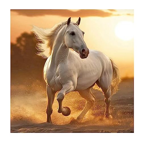 SHEGZHUC Square Diamond Painting Pferd Weiß 40x40 cm 5D Diamant Painting Kinder Bilder Malerei Diamond Painting Pferde Quadratisch Steine Malen nach Zahlen Erwachsene Pferde Painting Springendes Pferd von SHEGZHUC