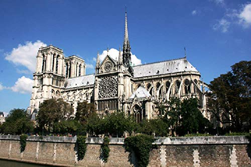 SHILIHOME Französische Notre Dame Baulandschaft Malen nach Zahlen DIY einzigartig von SHILIHOME