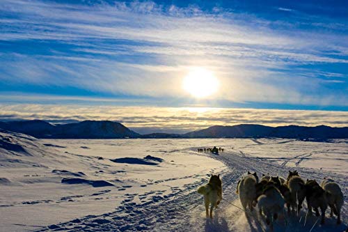 SHILIHOME Schöne Landschaft Grönlands Malen nach Zahlen, zum Selbermachen, einzigartig von SHILIHOME