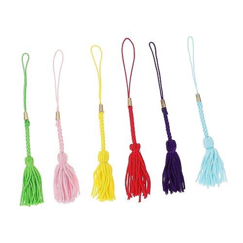 SHINEOFI 1 Satz Quaste Lanyard Zubehör Quasten Zur Herstellung Von Schlüsselanhängern Gestelle Büro Dekoration Bürodekoration Vorhangdekor Quaste Diy Hängende Quaste Rayon Colorful 6st von SHINEOFI