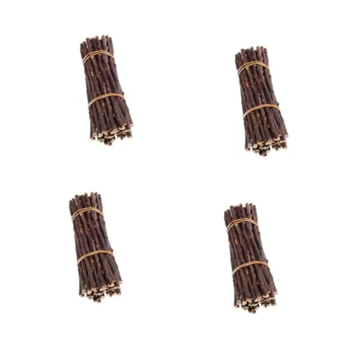 SHINEOFI 4 Sätze Protokollabschnitt Ast Birkenzweige Mini-sticks Lange Birke Kaustäbchen Diy-stick Natürliche Zweige Weihnachtsstäbchen Zweige Diy Gefälschte Stöcke Holz Brown 50 Stück * 4 von SHINEOFI