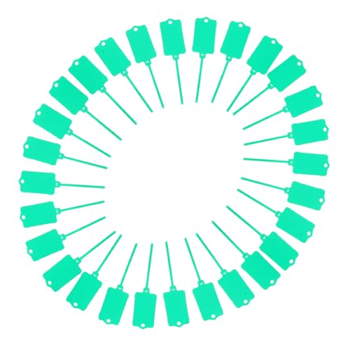 SHOWERORO 100st Plastikschild Das Etikett Lebensmitteletiketten Tag-krawatten Hängeetiketten Aus Kunststoff Wasserdichte Plastikanhänger Hängende Tags Schlüsseletiketten Leere Tags Pp Green von SHOWERORO
