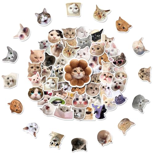 100 Stück Katzen Sticker Set,Cat Lustige Aufkleber Set Katzenaufkleber,Cartoon-Aufkleber Abziehbild Kawaii Sticker Pack,Coole Sticker Bomb Kätzchen,Simons Cat Aufkleber von SHPUJUN