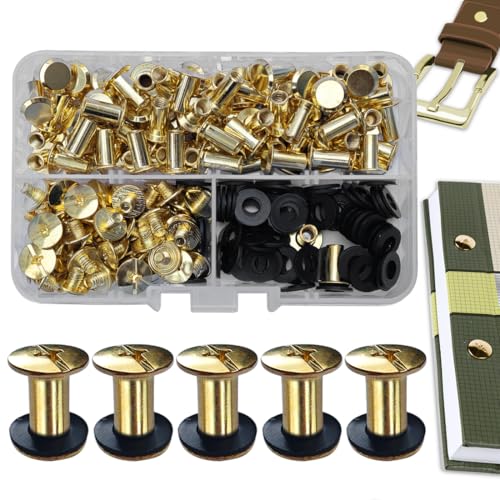 SHSMPXOY 80 Sätze Chicago Buchschrauben Edelstahl M5*10mm Chicago Schrauben Buchbinderschrauben Schraubnieten für Leder,Taschen,Bücher,Halsbänder, Rucksäcke,Hundeleinen (Gold) von SHSMPXOY