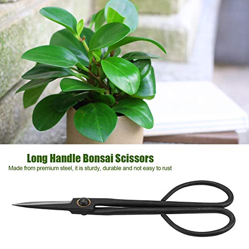 SHUAIGUO Bonsai -Schnittschere 205 Mm Langes Griff Trimmwerkzeug für Knospenblätter Premium -Stahlblätter Zum Präzisionsschneiden SHUAIGUO Bonsai -Schnittschere 205 Mm Langes Griff Trimmwerkzeug für Knospenblätter Premium -Stahlblätter Zum Präzisionsschneiden von SHUAIGUO