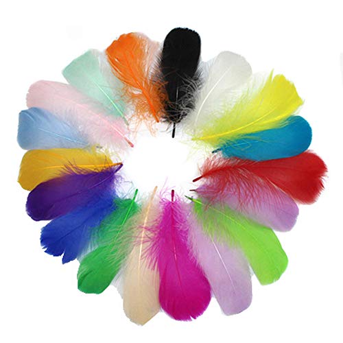 SIMUER 300 Stück Bunte Federn für DIY Craft, 8-12 cm, 10 Farben, Sicher und Ungiftig und Nicht verblassen von SIMUER