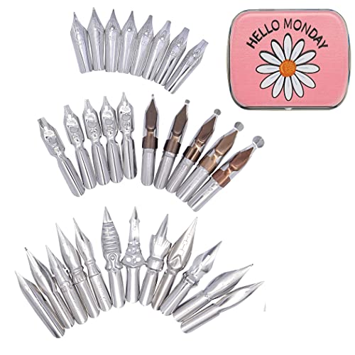 SIPLIV 30 Stück Edelstahl Comic Stift Feder Kalligraphie Stift Federn Dip Pens Nibs Set Manga Federn Füllfederhalter Federn Ersatz mit Stahl Aufbewahrungsbox (Chrysanthemum) von SIPLIV