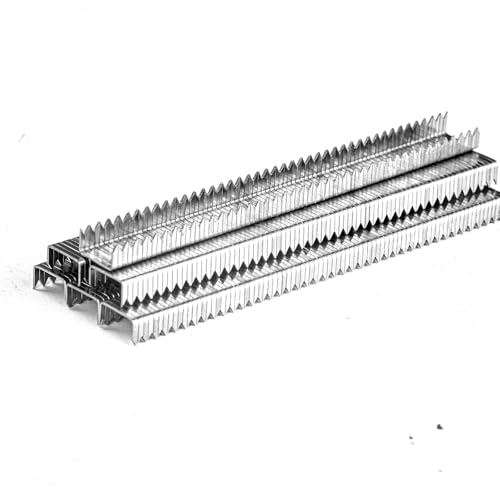 SITLDY Abgeschrägte, gemeißelte Spitzklammern, robust, T/50 304 Edelstahl, 5/16 Zoll, 2000 Stück, A11 20 Gauge für pneumatische, elektrische T50-Heftgeräte von SITLDY