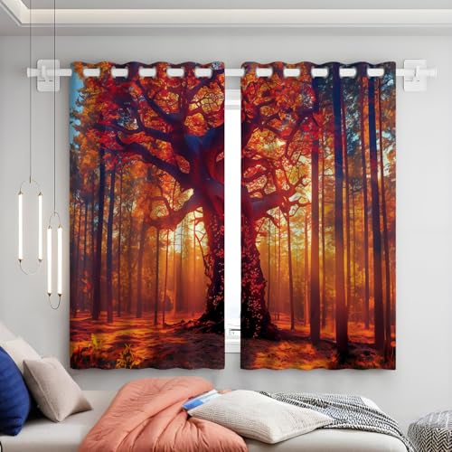 SMBHIAON Majestätischer Alter Baum Gardinen 2er Set - hohe Kiefer Küchen Vorhänge H137 × B117 cm (2er Pack) Blickdichte Gardinen, Verdunklungsvorhänge Kinderzimmer Thermovorhang gegen von SMBHIAON