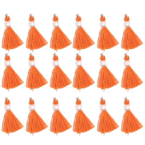 100 Stück Mini Quaste Anhänger 2.5cm Bunt Baumwoll Tassel mit Perlen Handgefertigte Troddel Kleine Quasten Basteln Dekoquaste Quasteknoten für Schlüsselanhänger Ohrringe Taschen DIY Handwerk von SMTCM