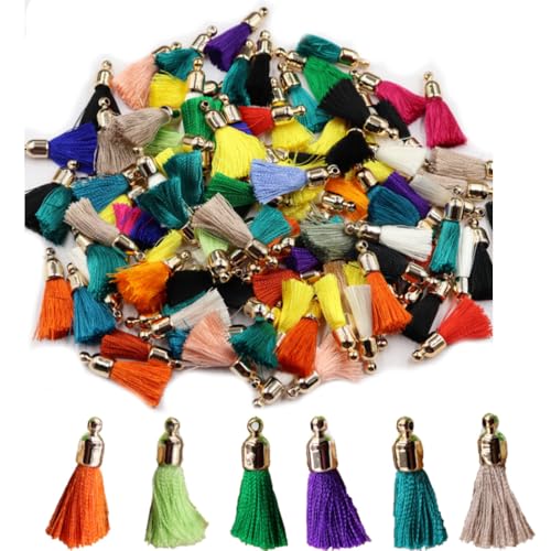 100 Stück Quaste Anhänger Mini 2.5cm Bunt Handgefertigte Troddel Seidige Tassel mit Kappen Kleine Quasten Basteln Dekoquaste Quasteknoten für Schlüsselanhänger Ohrringe Taschen DIY Handwerk von SMTCM