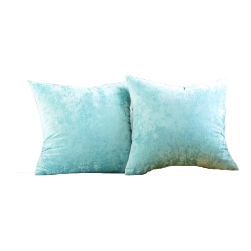 2 Stück Hellblau Kissenbezug Samt Wurfkissenbezug 30 * 50cm Zierkissenbezug Samtstoff Bunte Velvet Kissenhülle Sofakissenbezug Weichen Weihnachten Deko Kissen Abdeckung für Schlafzimmer Couch von SMTCM