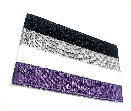 Asexual Aces Pride Aufnäher zum Aufbügeln, bestickter Stoff, zum Aufnähen, für Kleidung, 8 cm x 5 cm, rechteckig, 1 Stück von SNS Components