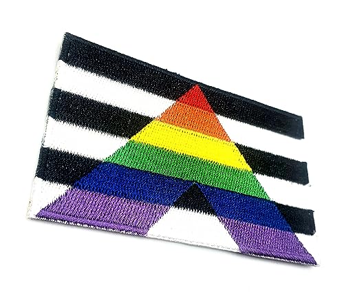 Straight Ally Rainbow Gay Pride LGBT Aufnäher zum Aufbügeln bestickter Stoff zum Aufnähen auf Transfer für Kleidung, 8 cm x 5 cm, rechteckig, 1 Stück von SNS Components