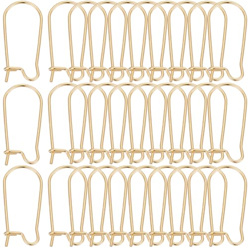 SOFPLATE 1 Box 120 Stück Echte 18K Vergoldete OhrringhakenNieren Ohrring FinderhakenBaumelnde U FörmigeTropfenförmigeLange OhrhakenEdelstahl Ohrhaken Für SchmuckherstellungszubehörDIY HandwerkFrauen von SOFPLATE