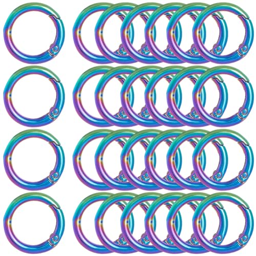 SOFPLATE 1 Box Mit 20 Metallfeder O Ringen 20mm Rund Karabiner Schlüsselring Regenbogenfarben Auslösefederclips Druckknopf O Ring Schnallen Aus Zinklegierung Für Selbstgemachte Schlüsselanhänger Geld von SOFPLATE