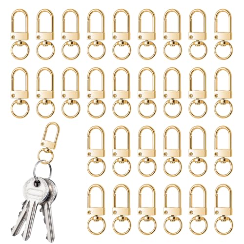 30 Stück Karabiner Gold,Gold Karabinerhaken,Schlüsselring Gold,Schlüsselanhänger Gold,Karabinerhaken Gold,Schlüsselringe Gold,Für Diy Handtasche Keychain Schlüsselring Stecker Schmuck von SOGHO