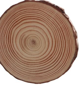 SOUJAP Naturholzscheiben, unlackierte Holzscheiben mit Baumrinde, Holzscheiben für Bastelarbeiten, Tafelaufsätze, 8,9 - 10,2 cm, 100 Stück von SOUJAP