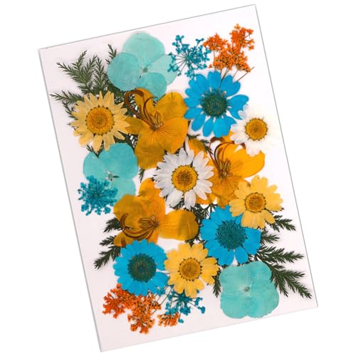 SOUTHJIELING Natürliche gepresste getrocknete Blume für Epoxidharz, trockene Blumen und Blätter, Set für Seife, Kerzen, Schmuck, Scrapbooking von SOUTHJIELING