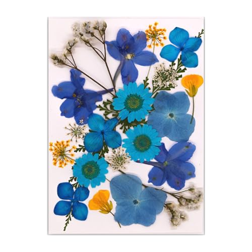 SOUTHJIELING Natürliche gepresste getrocknete Blume für Epoxidharz, trockene Blumen und Blätter, Set für Seife, Kerzen, Schmuck, Scrapbooking von SOUTHJIELING