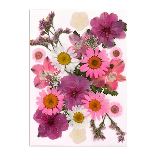 SOUTHJIELING Natürliche gepresste getrocknete Blume für Epoxidharz, trockene Blumen und Blätter, Set für Seife, Kerzen, Schmuck, Scrapbooking von SOUTHJIELING