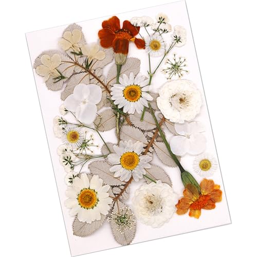 SOUTHJIELING Natürliche gepresste getrocknete Blume für Epoxidharz, trockene Blumen und Blätter, Set für Seife, Kerzen, Schmuck, Scrapbooking von SOUTHJIELING